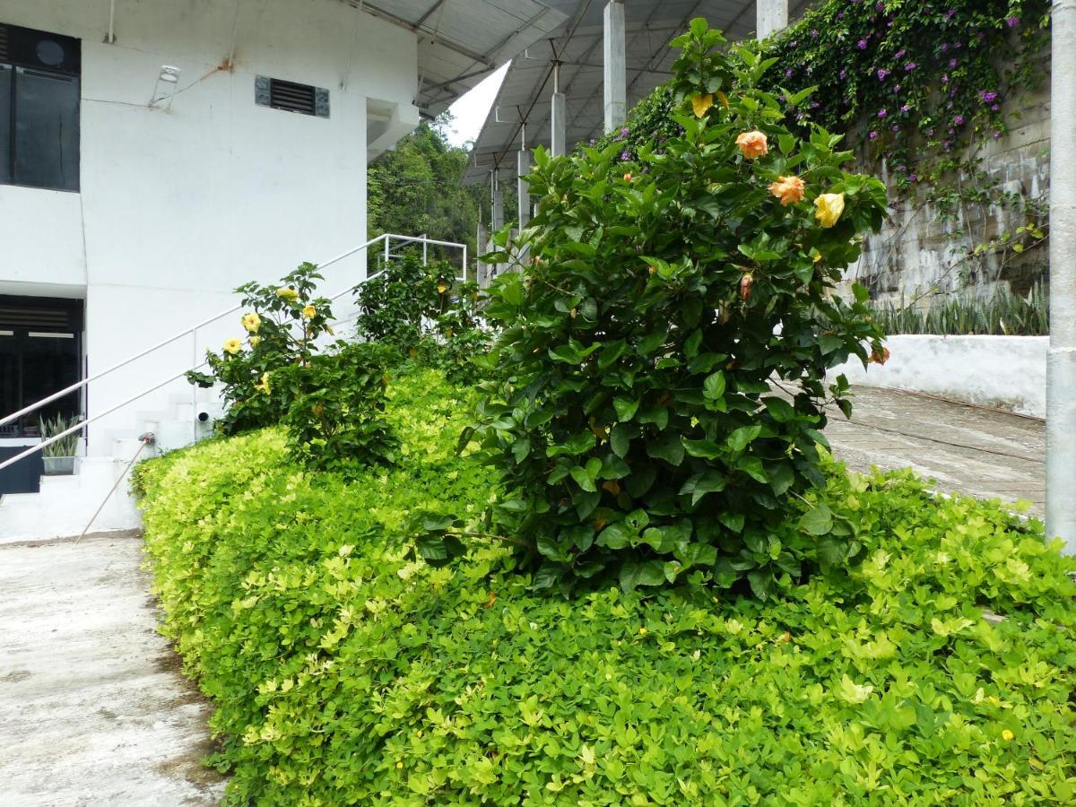 Campo Godoy Hotell Doradal Eksteriør bilde